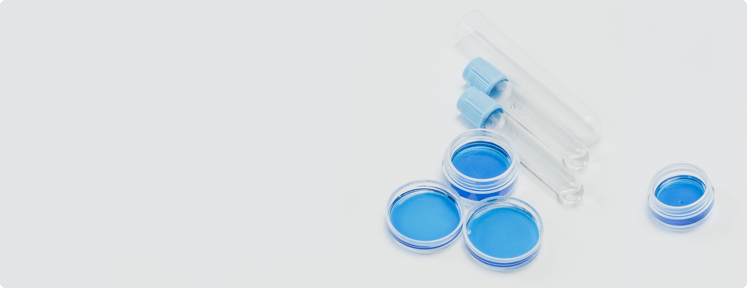 RECOMBINANT ANTI-TUMOR TOXINS