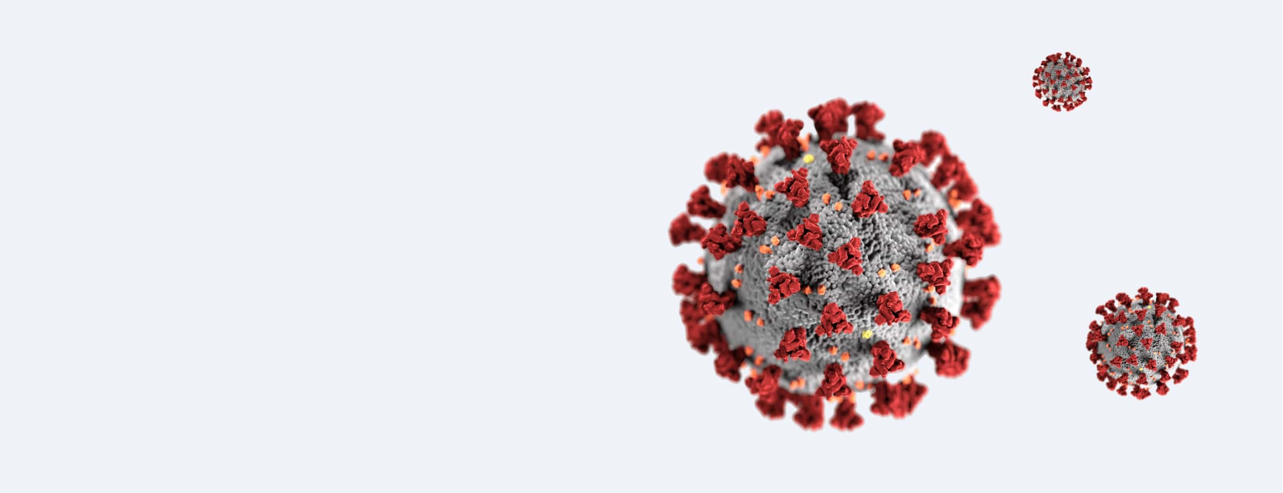 COMPLEX TEST SYSTEMS FOR THE DETECTION OF IGM IGG IGA ANTIBODIES TO SARS-COV-2 IN HUMAN SERUM OR PLASMA