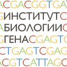 Institute of Gene Biology Russian Academy of Sciences